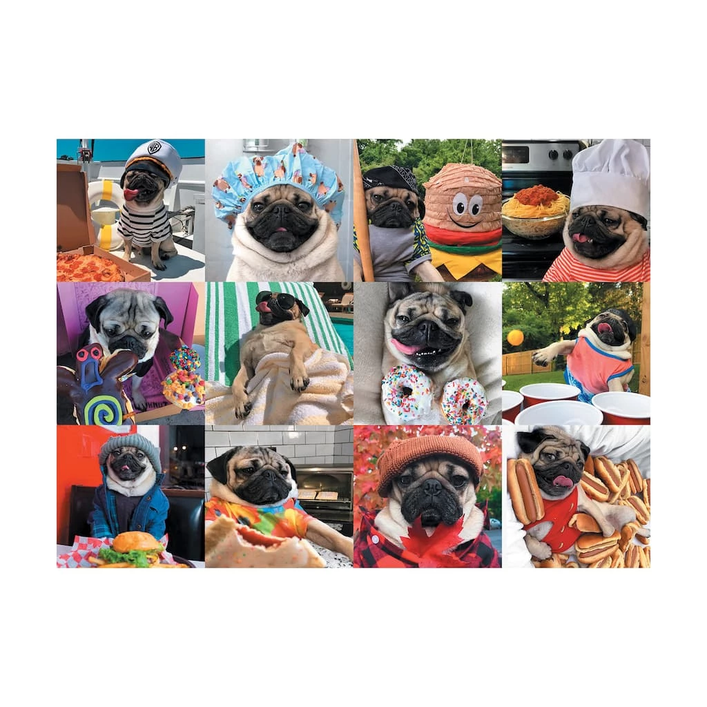Brand new ๐ Doug the Pug: Pug Life 1,000 Piece Jigsaw Puzzle by Willow Creek Press ๐ฅฐ 2 Brand new ๐ Doug the Pug: Pug Life 1,000 Piece Jigsaw Puzzle by Willow Creek Press ๐ฅฐ - Image 2