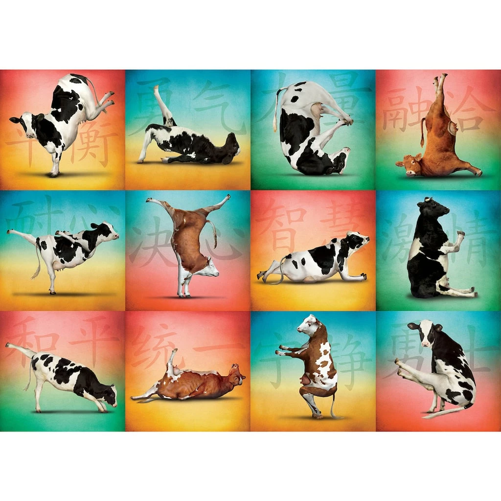 Wholesale โ Cow Yoga 1,000 Piece Jigsaw Puzzle by Willow Creek Press ๐ 2 Wholesale โ Cow Yoga 1,000 Piece Jigsaw Puzzle by Willow Creek Press ๐ - Image 2