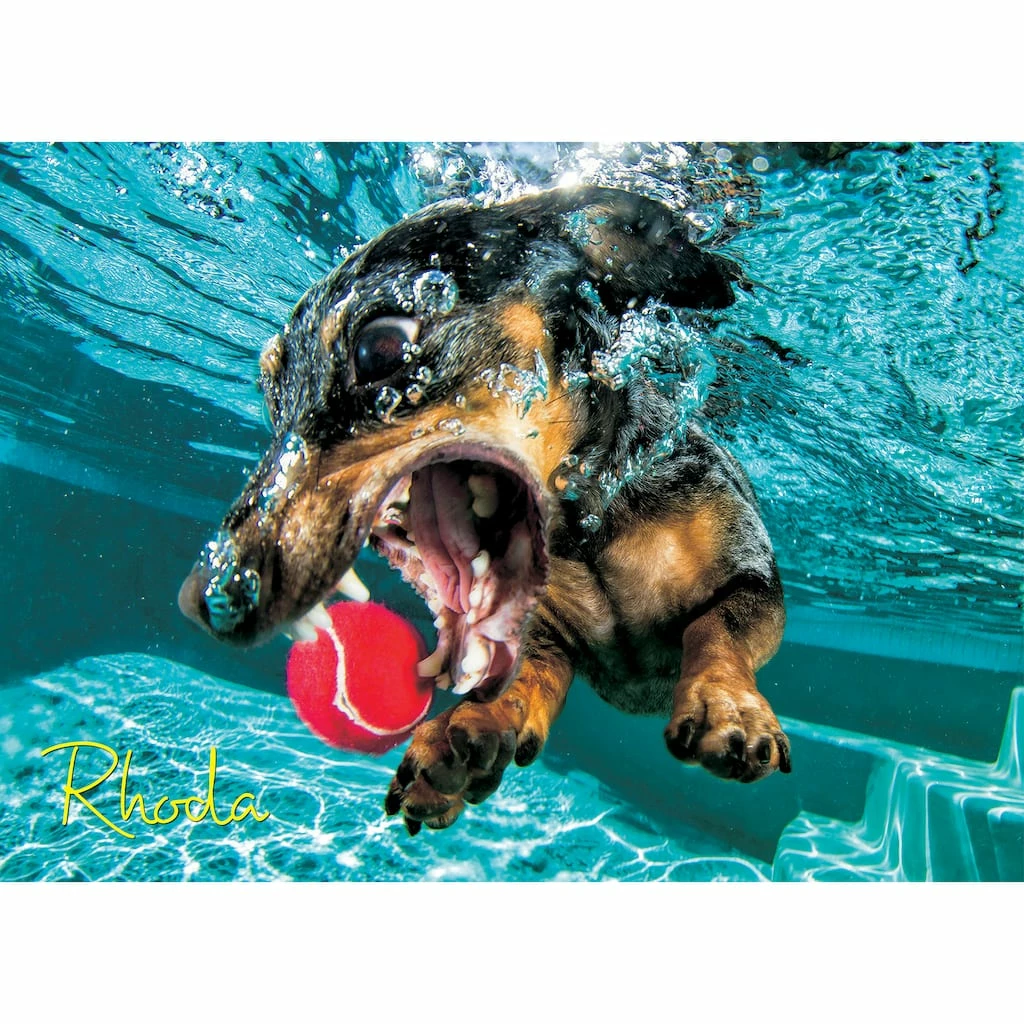 New 🔥 Underwater 🦮 Dog: Rhoda 1,000 Piece Puzzle by Willow Creek Press 👏 2 New 🔥 Underwater 🦮 Dog: Rhoda 1,000 Piece Puzzle by Willow Creek Press 👏 - Image 2