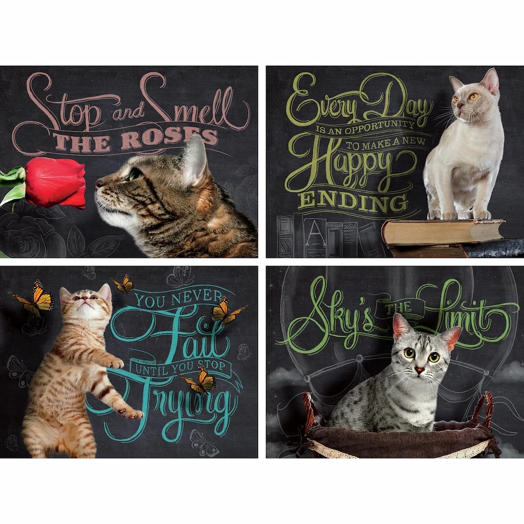 Flash Sale 🎁 Catspirations 500 Piece Puzzle by Willow Creek Press 😉 2 Flash Sale 🎁 Catspirations 500 Piece Puzzle by Willow Creek Press 😉 - Image 2