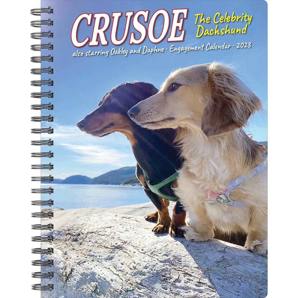 Brand new ๐งจ 2023 Crusoe Engagement Calendar by Willow Creek Press ๐ฏ 1 Brand new ๐งจ 2023 Crusoe Engagement Calendar by Willow Creek Press ๐ฏ