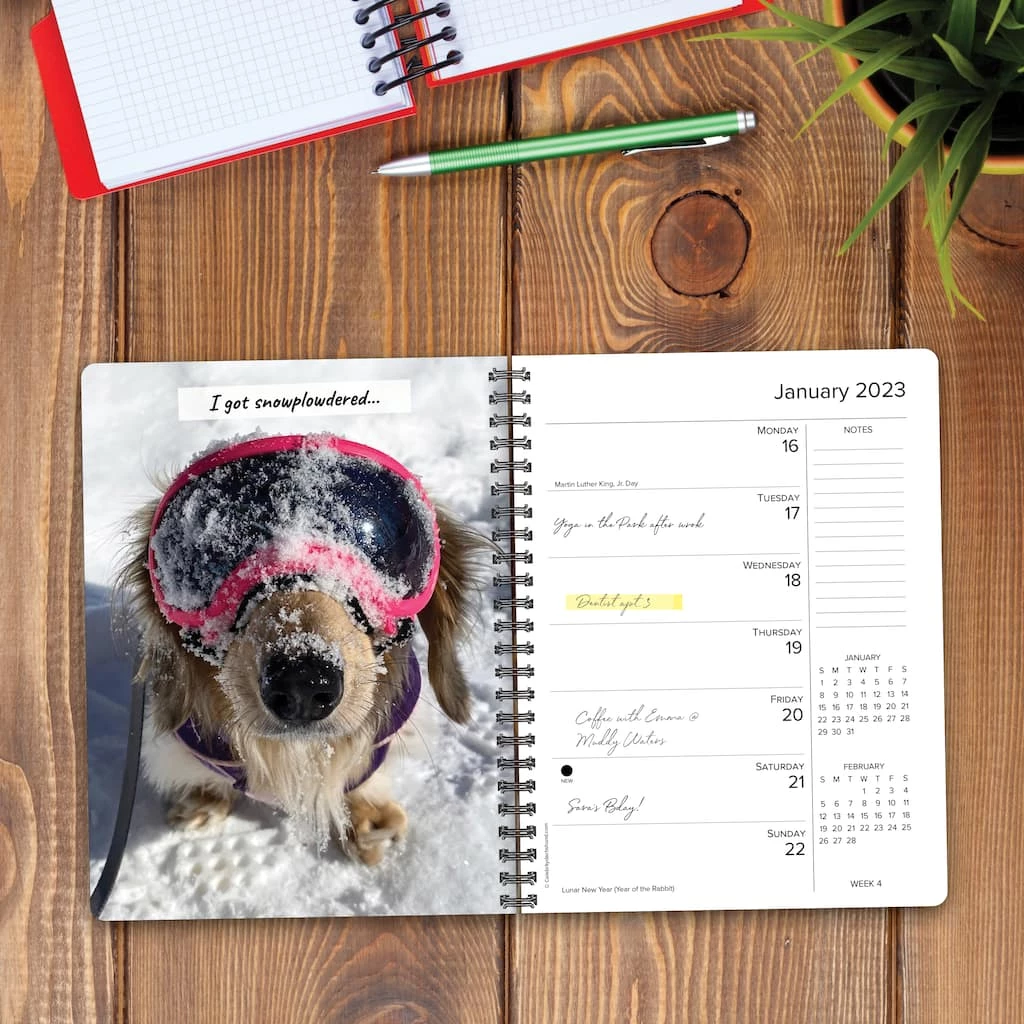 Brand new ๐งจ 2023 Crusoe Engagement Calendar by Willow Creek Press ๐ฏ 3 Brand new ๐งจ 2023 Crusoe Engagement Calendar by Willow Creek Press ๐ฏ - Image 3