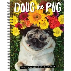 Coupon 😀 2023 Doug the Pug Engagement Calendar by Willow Creek Press 🛒