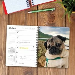 Coupon 😀 2023 Doug the Pug Engagement Calendar by Willow Creek Press 🛒 -Cheap Willow Creek Press Store D668839S 3