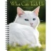 Top 10 🧨 2023 What Cats Teach Us Engagement Calendar by Willow Creek Press 🧨
