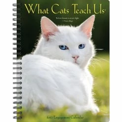 Top 10 🧨 2023 What Cats Teach Us Engagement Calendar by Willow Creek Press 🧨