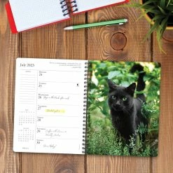 Top 10 🧨 2023 What Cats Teach Us Engagement Calendar by Willow Creek Press 🧨 -Cheap Willow Creek Press Store D668842S 3