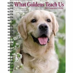 Promo ๐ฅฐ 2023 What Goldens Teach Us Engagement Calendar by Willow Creek Press โญ