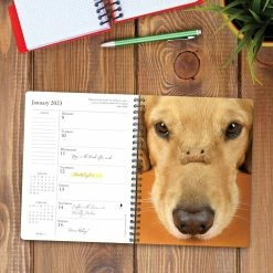 Promo 🥰 2023 What Goldens Teach Us Engagement Calendar by Willow Creek Press ⭐ -Cheap Willow Creek Press Store D668843S 3