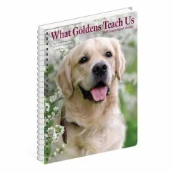 Promo 🥰 2023 What Goldens Teach Us Engagement Calendar by Willow Creek Press ⭐ -Cheap Willow Creek Press Store D668843S 4