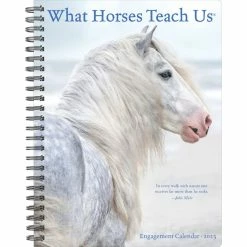 Cheapest 🥰 2023 What Horses Teach Us Engagement Calendar by Willow Creek Press 🎉