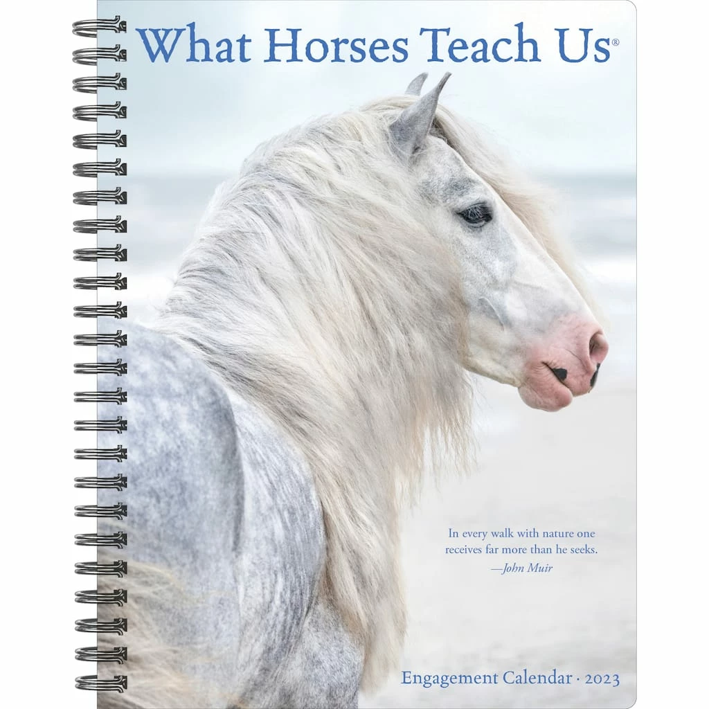 Cheapest ๐ฅฐ 2023 What Horses Teach Us Engagement Calendar by Willow Creek Press ๐ 1 Cheapest ๐ฅฐ 2023 What Horses Teach Us Engagement Calendar by Willow Creek Press ๐