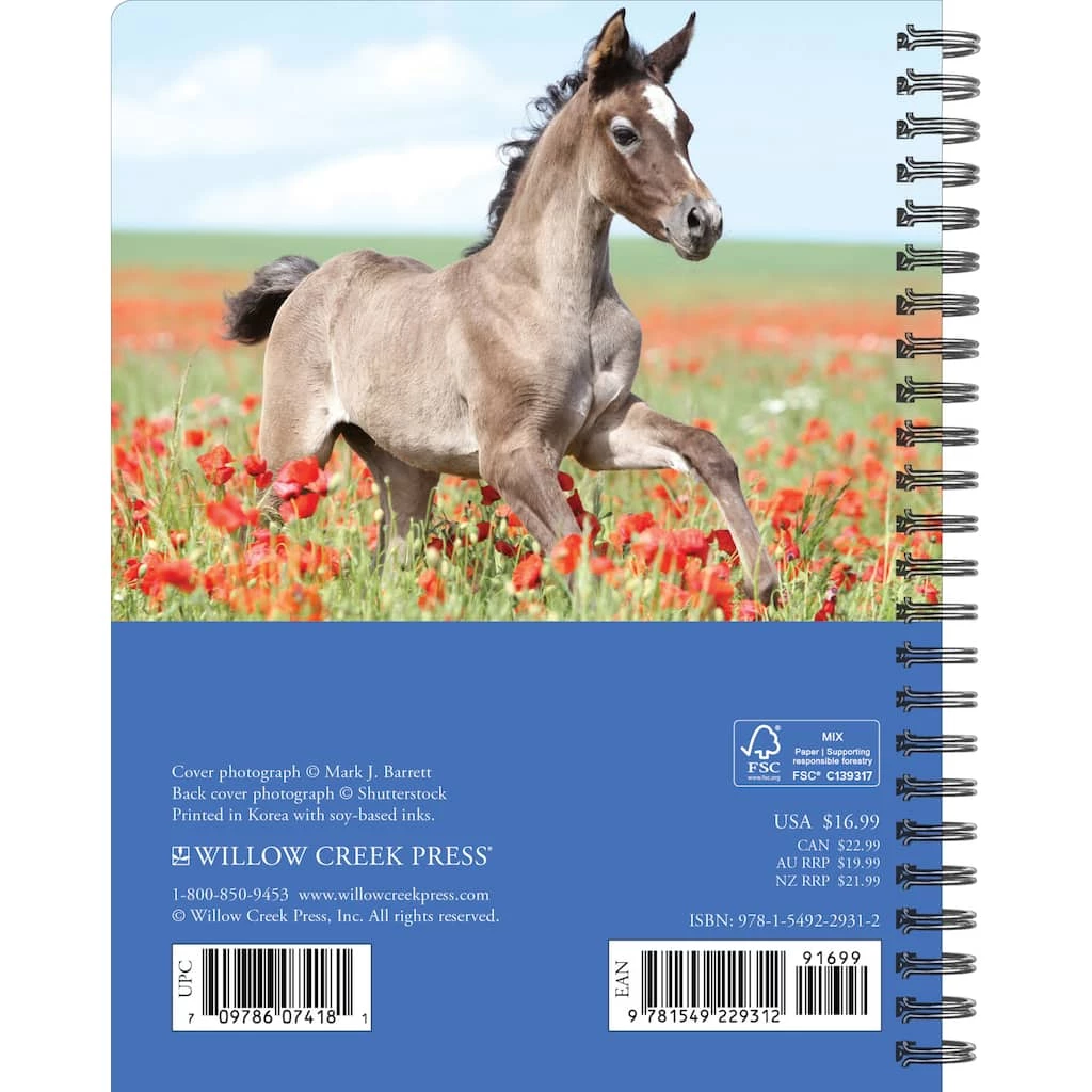 Cheapest ๐ฅฐ 2023 What Horses Teach Us Engagement Calendar by Willow Creek Press ๐ 2 Cheapest ๐ฅฐ 2023 What Horses Teach Us Engagement Calendar by Willow Creek Press ๐ - Image 2