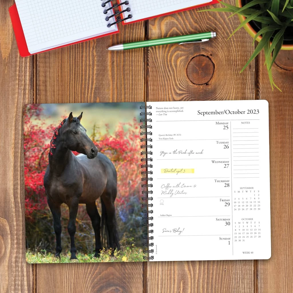 Cheapest ๐ฅฐ 2023 What Horses Teach Us Engagement Calendar by Willow Creek Press ๐ 3 Cheapest ๐ฅฐ 2023 What Horses Teach Us Engagement Calendar by Willow Creek Press ๐ - Image 3