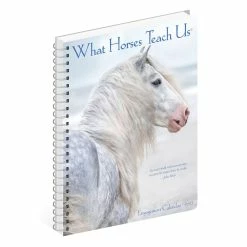 Cheapest ๐ฅฐ 2023 What Horses Teach Us Engagement Calendar by Willow Creek Press ๐ 8 Cheapest ๐ฅฐ 2023 What Horses Teach Us Engagement Calendar by Willow Creek Press ๐ -Cheap Willow Creek Press Store D668844S 4