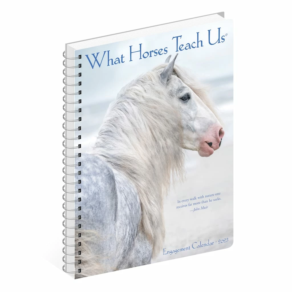 Cheapest ๐ฅฐ 2023 What Horses Teach Us Engagement Calendar by Willow Creek Press ๐ 4 Cheapest ๐ฅฐ 2023 What Horses Teach Us Engagement Calendar by Willow Creek Press ๐ - Image 4