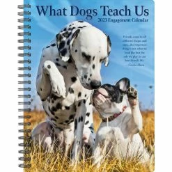 Wholesale ๐ฏ 2023 What ๐ถ Dogs Teach Us Engagement Calendar by Willow Creek Press ๐