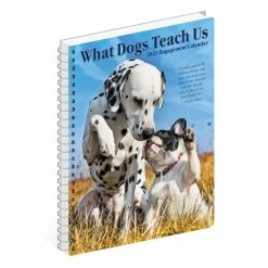 Wholesale 💯 2023 What 🐶 Dogs Teach Us Engagement Calendar by Willow Creek Press 🛒 -Cheap Willow Creek Press Store D668845S 4