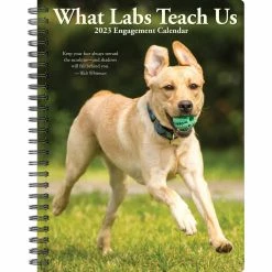 Cheapest 🎁 2023 What Labs Teach Us Engagement Calendar by Willow Creek Press ✔️