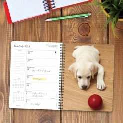 Cheapest 🎁 2023 What Labs Teach Us Engagement Calendar by Willow Creek Press ✔️ -Cheap Willow Creek Press Store D668846S 3