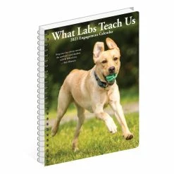 Cheapest 🎁 2023 What Labs Teach Us Engagement Calendar by Willow Creek Press ✔️ -Cheap Willow Creek Press Store D668846S 4