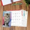 Best reviews of 🎉 2023-2024 Cute as a Kitten 2-Year Pocket Planner by Willow Creek Press 👏
