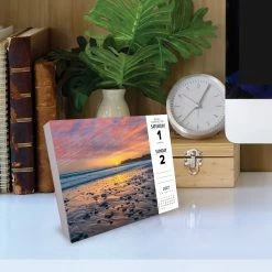 Top 10 💯 2023 Ah, The Beach! Box Calendar by Willow Creek Press 🧨 -Cheap Willow Creek Press Store D669822S 4