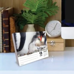 Top 10 🛒 2023 Baby Animals Box Calendar by Willow Creek Press ✨ -Cheap Willow Creek Press Store D669825S 4