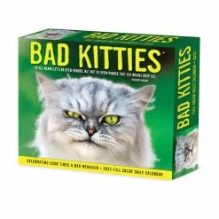 Wholesale ๐ 2023 Bad Kitties Box Calendar by Willow Creek Press ๐