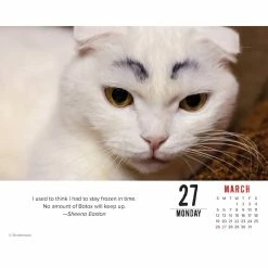 Wholesale 🌟 2023 Bad Kitties Box Calendar by Willow Creek Press 😉 -Cheap Willow Creek Press Store D669827S 3