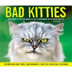 Wholesale 🌟 2023 Bad Kitties Box Calendar by Willow Creek Press 😉 -Cheap Willow Creek Press Store D669827S 5