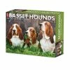 Top 10 🤩 2023 Basset Hounds Box Calendar by Willow Creek Press ✨