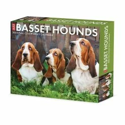 Top 10 🤩 2023 Basset Hounds Box Calendar by Willow Creek Press ✨
