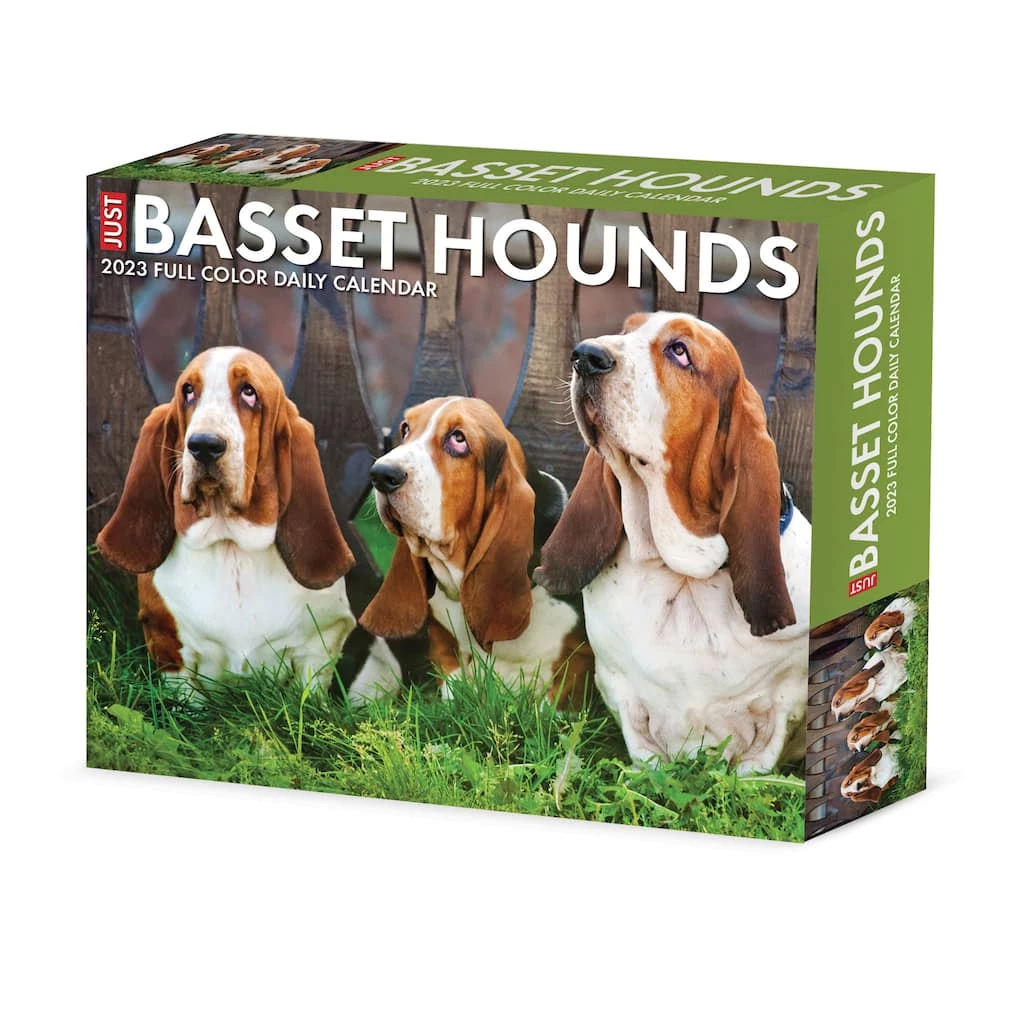 Top 10 🤩 2023 Basset Hounds Box Calendar by Willow Creek Press ✨ 1 Top 10 🤩 2023 Basset Hounds Box Calendar by Willow Creek Press ✨