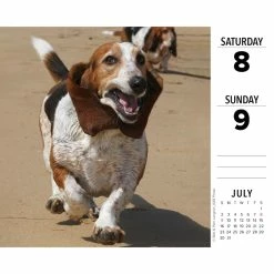 Top 10 🤩 2023 Basset Hounds Box Calendar by Willow Creek Press ✨ 9 Top 10 🤩 2023 Basset Hounds Box Calendar by Willow Creek Press ✨ -Cheap Willow Creek Press Store D669828S 3