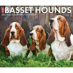 Top 10 🤩 2023 Basset Hounds Box Calendar by Willow Creek Press ✨ 11 Top 10 🤩 2023 Basset Hounds Box Calendar by Willow Creek Press ✨ -Cheap Willow Creek Press Store D669828S 5