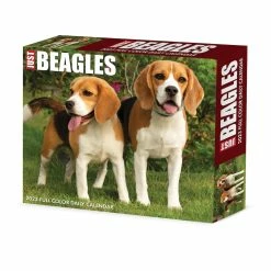 Outlet 😍 2023 Beagles Box Calendar by Willow Creek Press 🎁