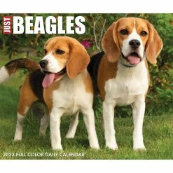 Outlet 😍 2023 Beagles Box Calendar by Willow Creek Press 🎁 -Cheap Willow Creek Press Store D669829S 5