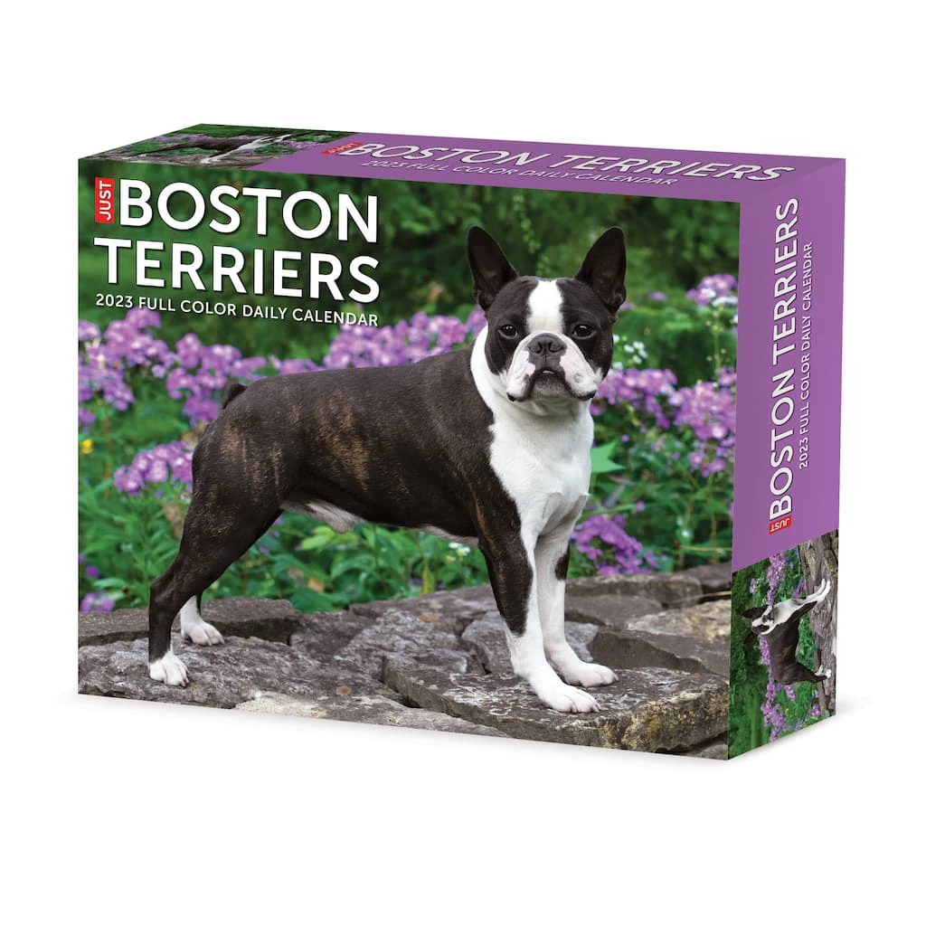 Discount ๐ 2023 Boston Terriers Box Calendar by Willow Creek Press ๐งจ 1 Discount ๐ 2023 Boston Terriers Box Calendar by Willow Creek Press ๐งจ