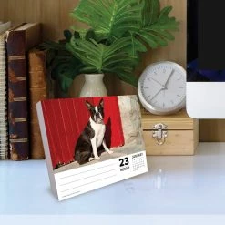 Discount ๐ 2023 Boston Terriers Box Calendar by Willow Creek Press ๐งจ 10 Discount ๐ 2023 Boston Terriers Box Calendar by Willow Creek Press ๐งจ -Cheap Willow Creek Press Store D669830S 4