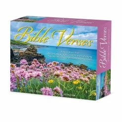 Hot Sale 🎉 2023 Bible Verses Box Calendar by Willow Creek Press ✔️