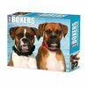 Top 10 🛒 2023 Boxers Box Calendar by Willow Creek Press 😍