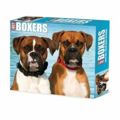 Top 10 🛒 2023 Boxers Box Calendar by Willow Creek Press 😍