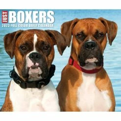 Top 10 🛒 2023 Boxers Box Calendar by Willow Creek Press 😍 -Cheap Willow Creek Press Store D669833S 5