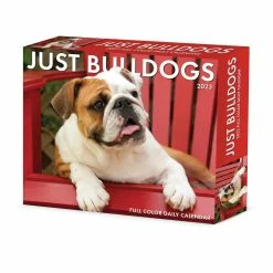 Best Pirce ✔️ 2023 Bulldogs Box Calendar by Willow Creek Press 😀