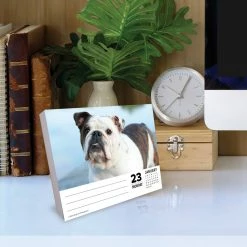 Best Pirce ✔️ 2023 Bulldogs Box Calendar by Willow Creek Press 😀 -Cheap Willow Creek Press Store D669834S 4