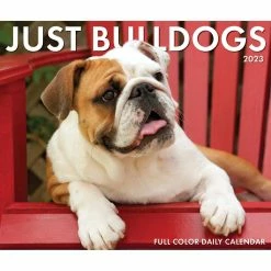 Best Pirce ✔️ 2023 Bulldogs Box Calendar by Willow Creek Press 😀 -Cheap Willow Creek Press Store D669834S 5