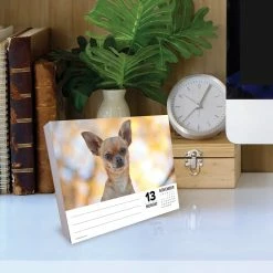 Discount 😀 2023 Chihuahuas Box Calendar by Willow Creek Press 🌟 -Cheap Willow Creek Press Store D669836S 4