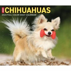 Discount 😀 2023 Chihuahuas Box Calendar by Willow Creek Press 🌟 -Cheap Willow Creek Press Store D669836S 5