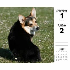 Promo 😍 2023 Corgis Box Calendar by Willow Creek Press 💯 -Cheap Willow Creek Press Store D669838S 3